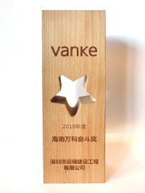 2018年海南万科奋斗奖