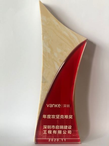 万科2020年度攻坚克难奖
